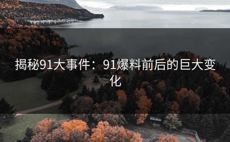 揭秘91大事件：91爆料前后的巨大变化