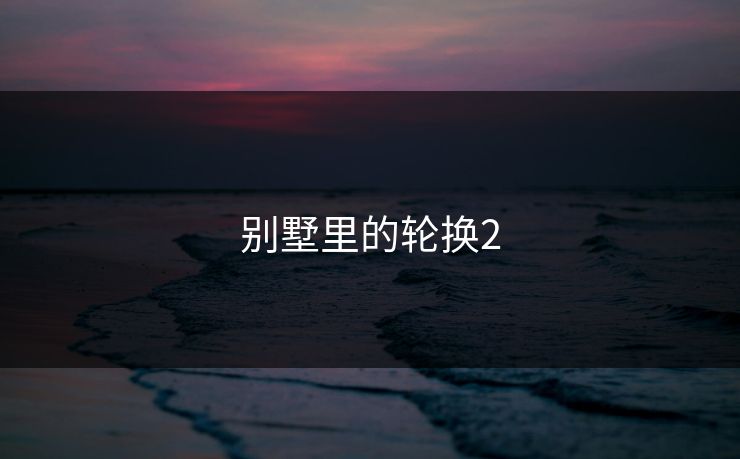 别墅里的轮换2 别墅里的轮换2