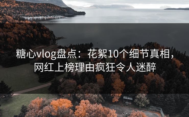 糖心vlog盘点：花絮10个细节真相，网红上榜理由疯狂令人迷醉